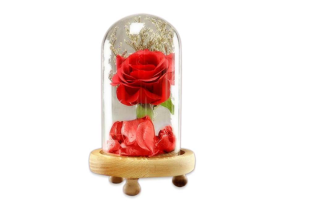 Very Beautiful Cloche Display Rose Flower In Glass Dome
