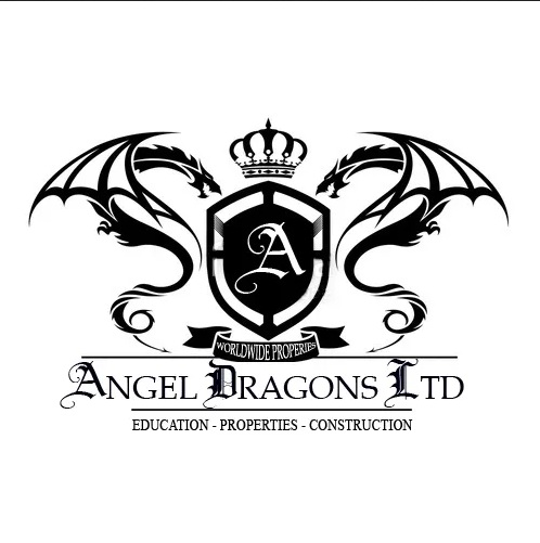 Interview with the CEO of Angel Dragons